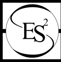 Engineering System Solutions