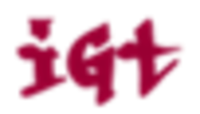 IGT solutions LLC