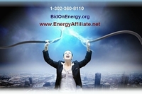 Bid On Energy
