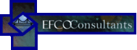 EFCO Consultants Inc