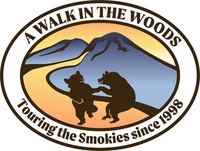 A Walk in the Woods